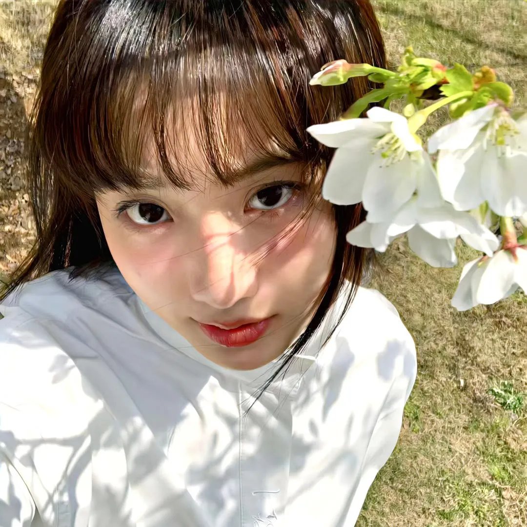 莉莉小姐的超完美日记